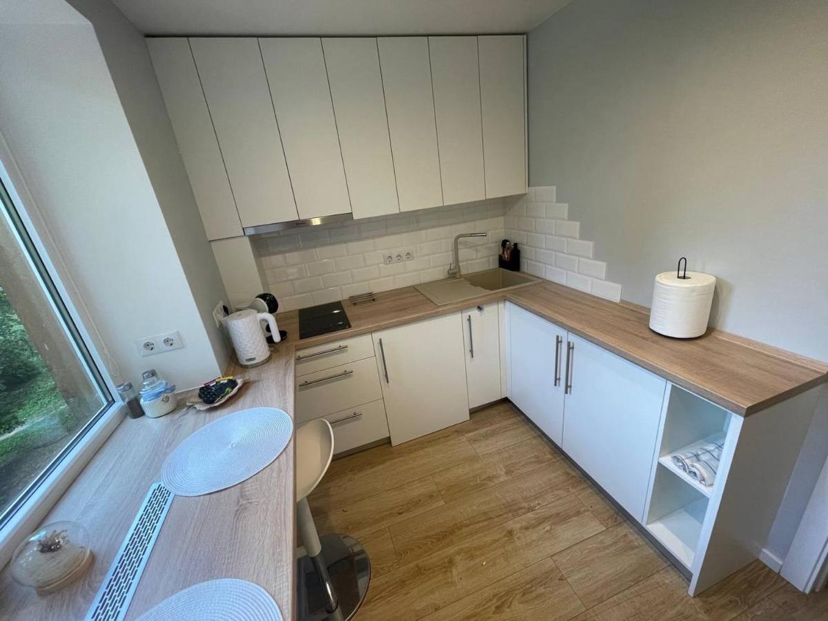 شقة Modern 1Br Haven Near Two Parks ريغا المظهر الخارجي الصورة